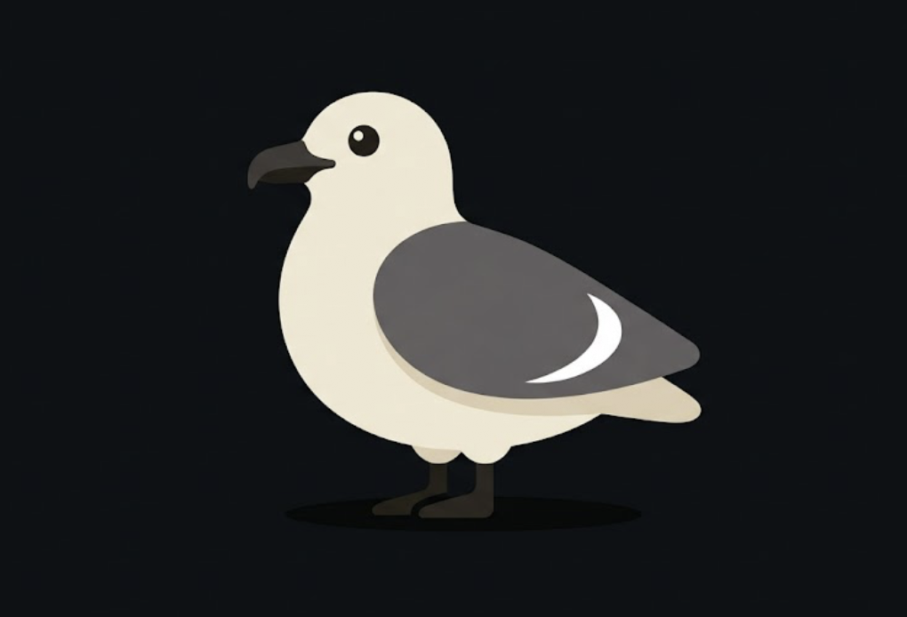 Skua, a stout seabird with a white wing flash